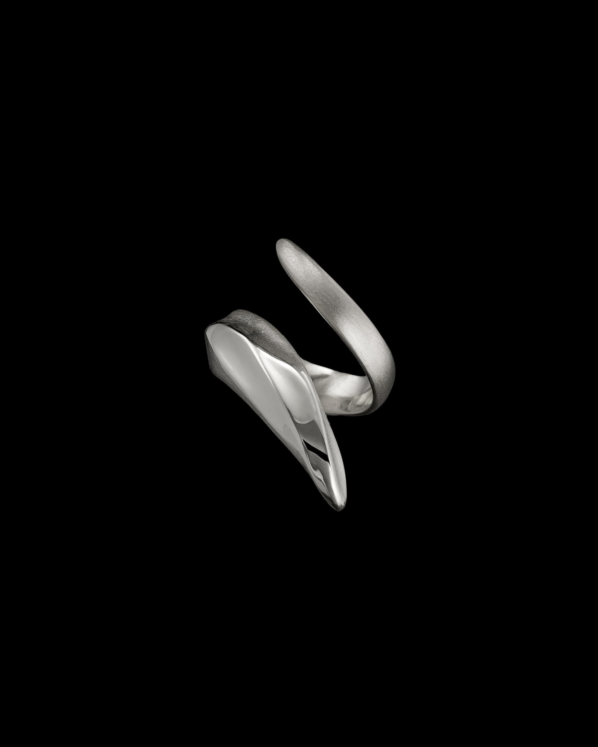 Echidna Ring