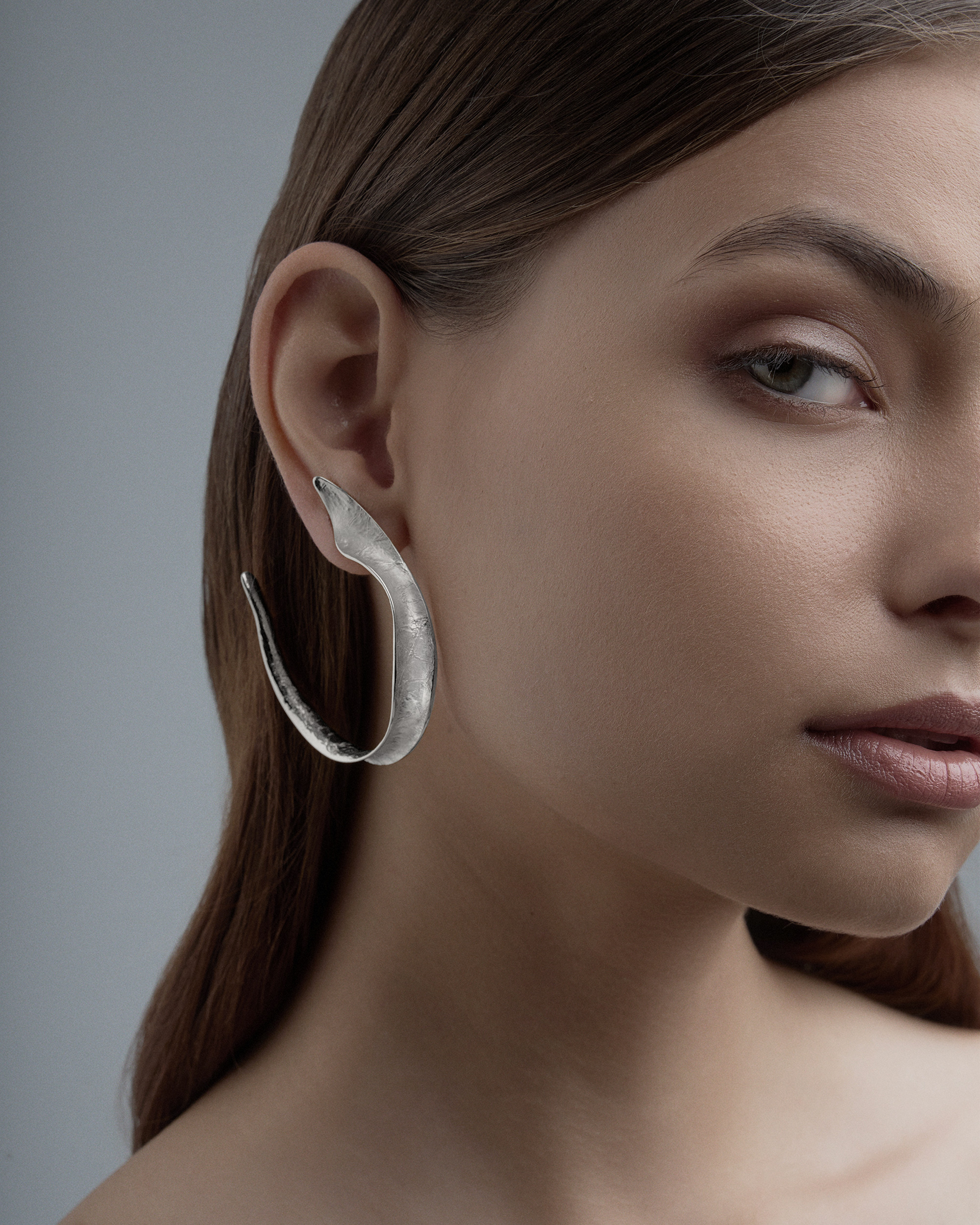 Echidna Earrings image
