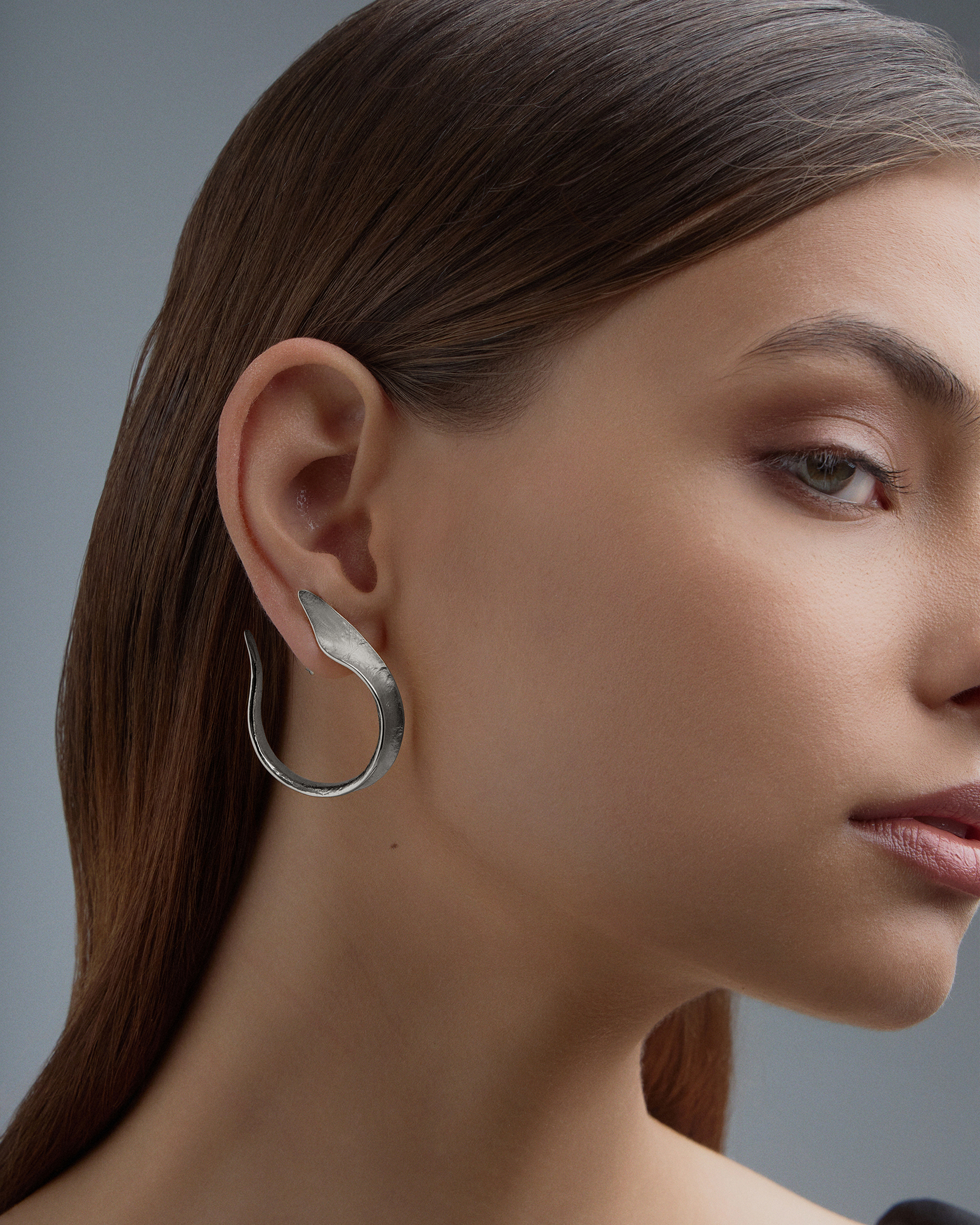 Echidna Earrings image